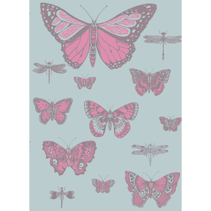 Cole & Son Butterflies & Dragonflies Pink On Blue Wallpaper 103/15062.CS.0