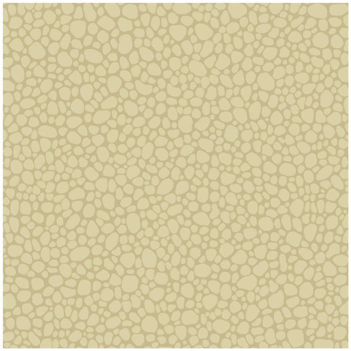 Cole & Son Pebble Latte Wallpaper 106/2024.CS.0