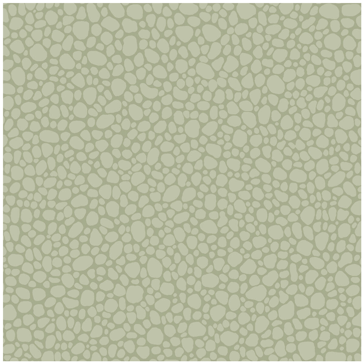 Cole & Son Pebble Sage Wallpaper 106/2027.CS.0