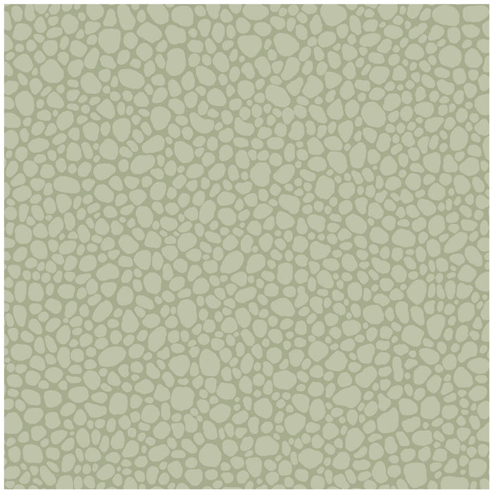 Cole & Son Pebble Sage Wallpaper 106/2027.CS.0