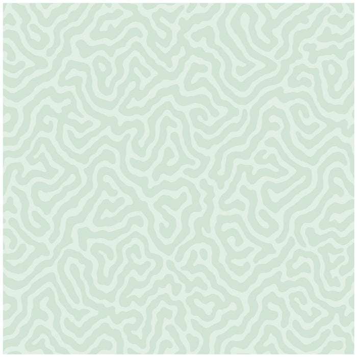 Cole & Son Coral Duck Egg Wallpaper 106/5065.CS.0