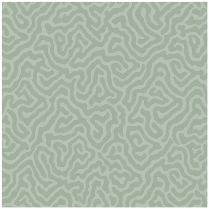 Cole & Son Coral Sage Wallpaper 106/5066.CS.0