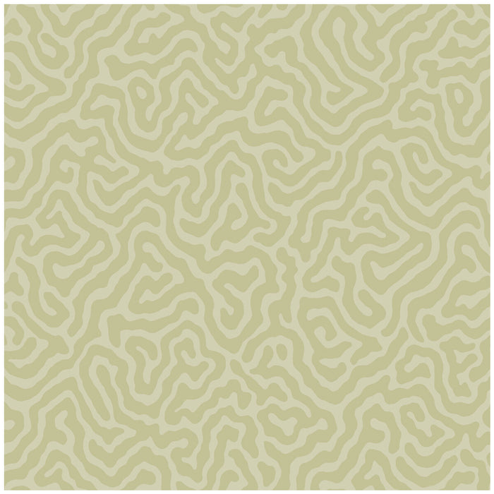 Cole & Son Coral Old Olive Wallpaper 106/5067.CS.0