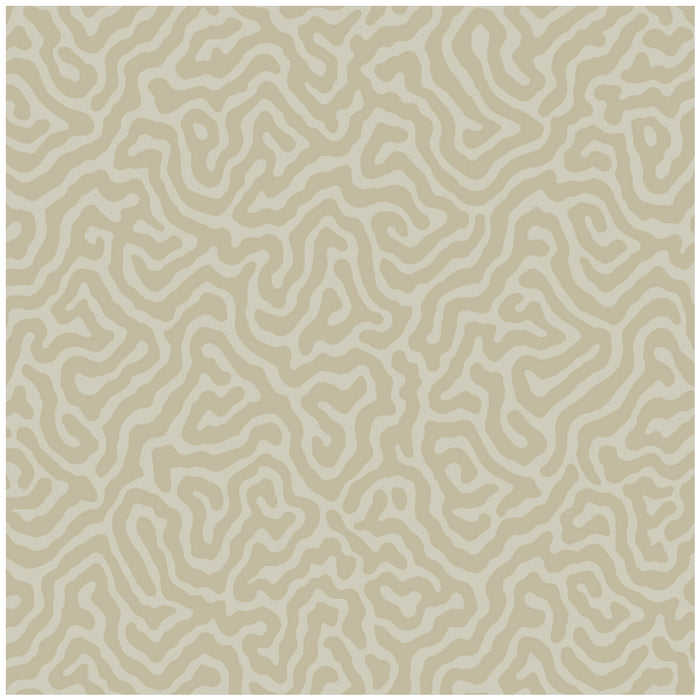 Cole & Son Coral Pale Stone Wallpaper 106/5072.CS.0