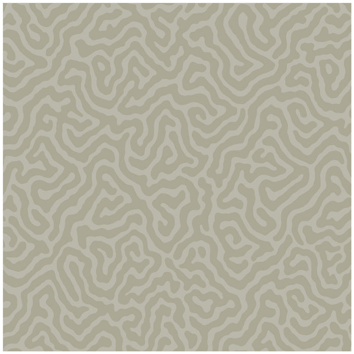 Cole & Son Coral Stone Wallpaper 106/5073.CS.0