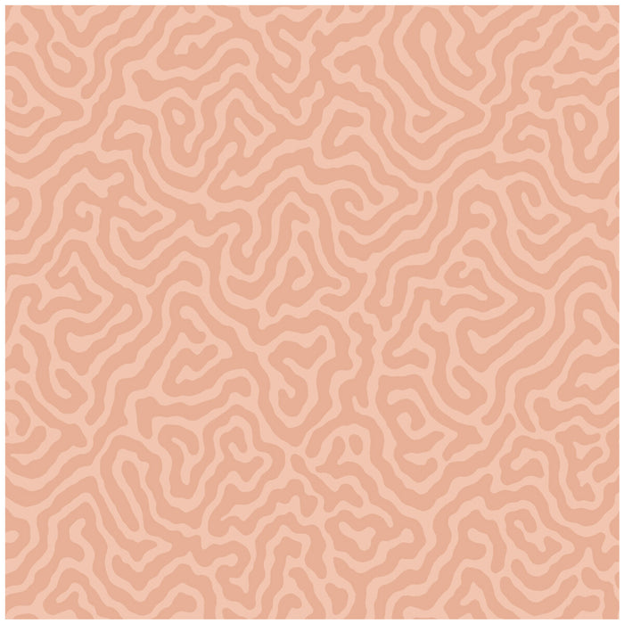 Cole & Son Coral Salmon Wallpaper 106/5075.CS.0