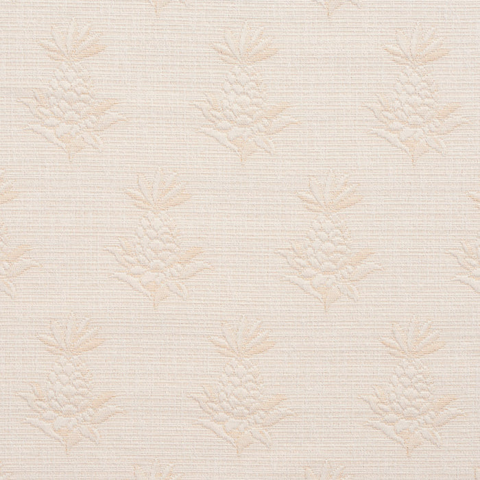 Charlotte Pineapple Grove Fabric Sample 1076