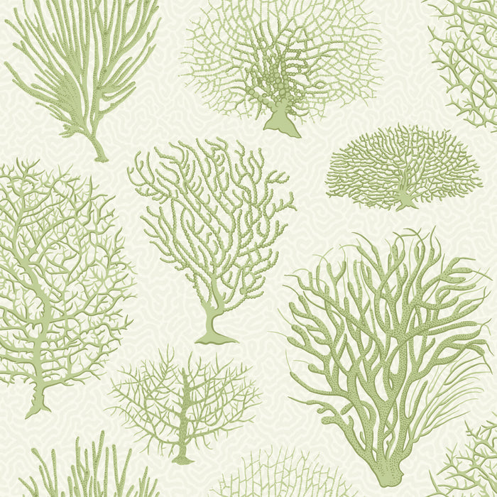 Cole & Son Seafern Soft Green Wallpaper 107/2008.CS.0