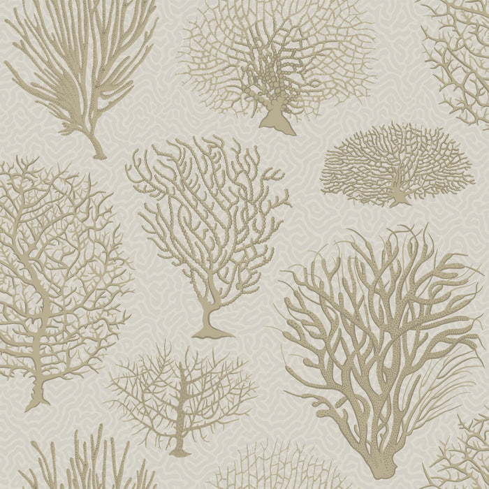 Cole & Son Seafern Stone Wallpaper 107/2010.CS.0