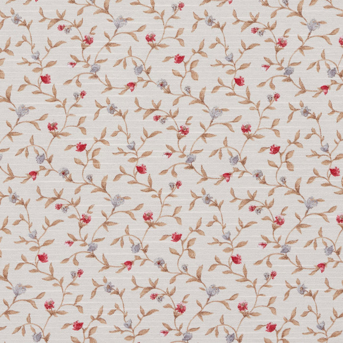 Charlotte  Fabric Sample 10850-04