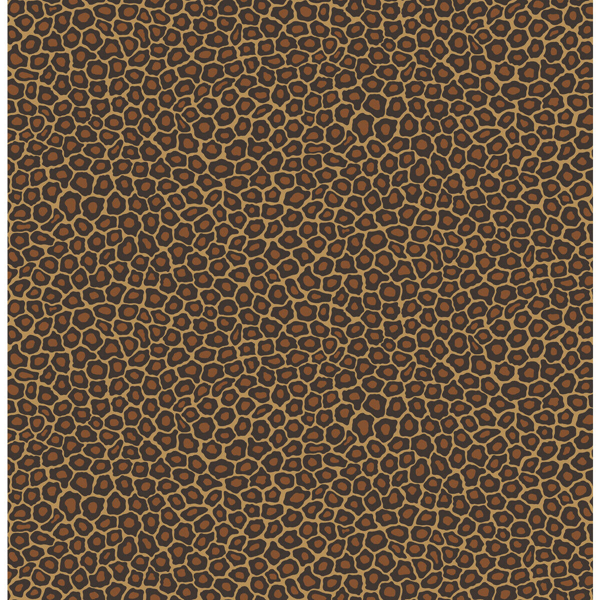 Cole & Son Senzo Spot True Leopard Wallpaper 109/6028.CS.0