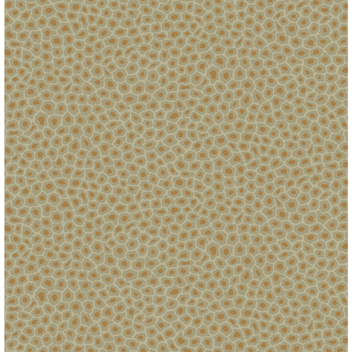 Cole & Son Senzo Spot Olive Wallpaper 109/6029.CS.0