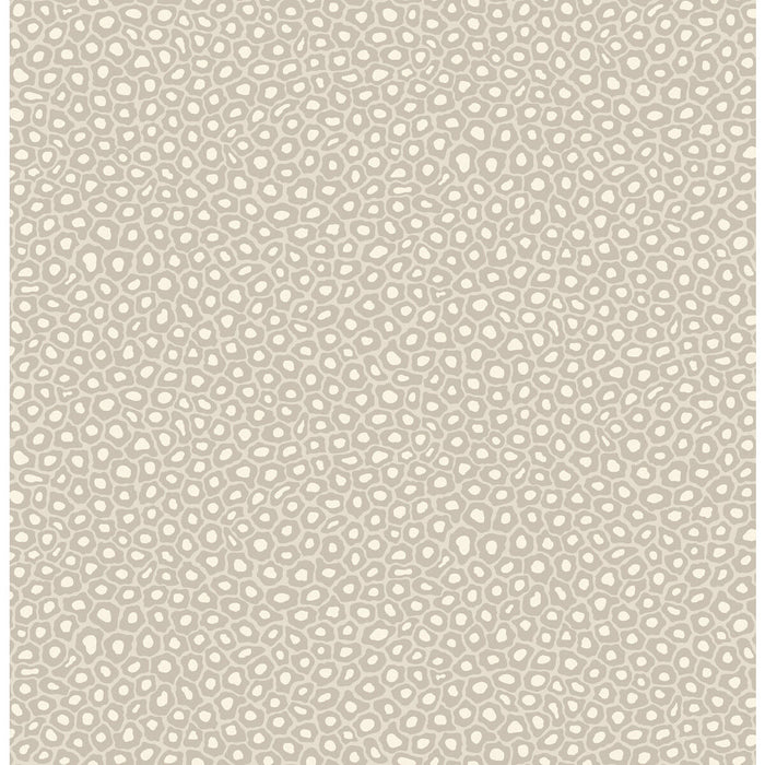 Cole & Son Senzo Spot Stone & White Wallpaper 109/6030.CS.0