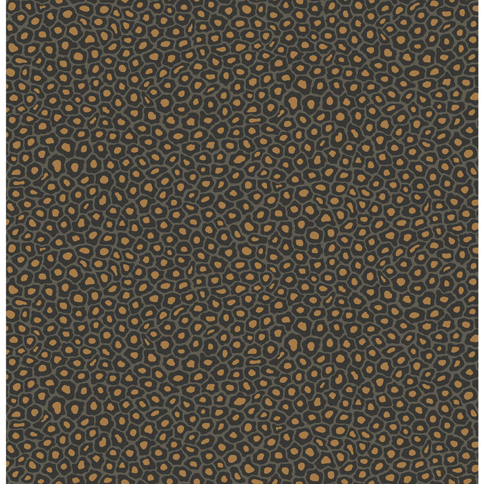 Cole & Son Senzo Spot Charcoal Wallpaper 109/6032.CS.0