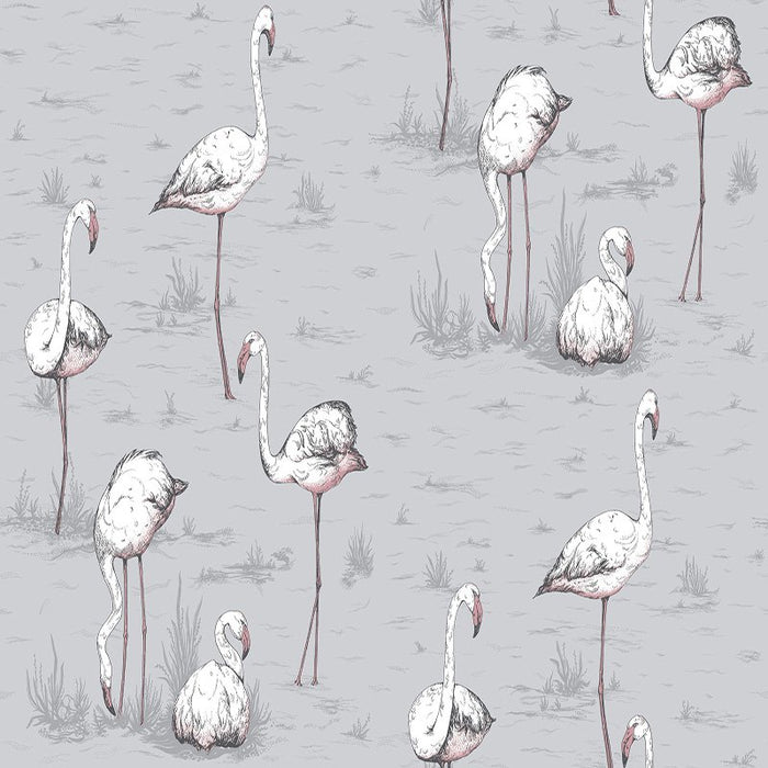 Cole & Son Flamingos Grey Wallpaper 112/11040.CS.0