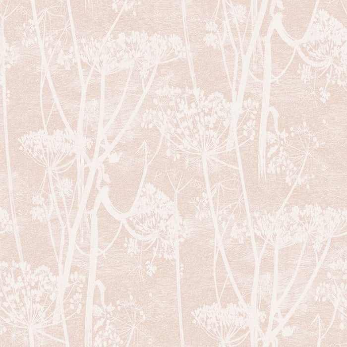 Cole & Son Cow Parsley Plaster Pink Wallpaper 112/8028.CS.0