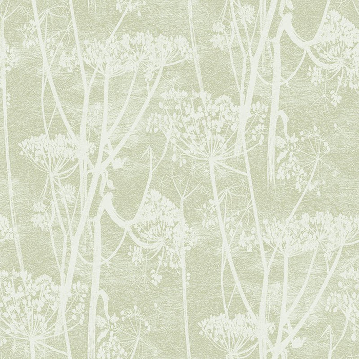 Cole & Son Cow Parsley Olive Wallpaper 112/8029.CS.0