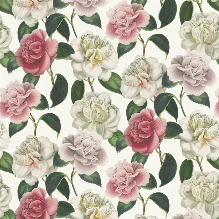 John Derian Camellia Folly  1 Fabric FJD6020-01