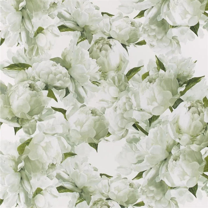 Designers Guild Peonia Chartreuse Wallpaper PDG1094/03