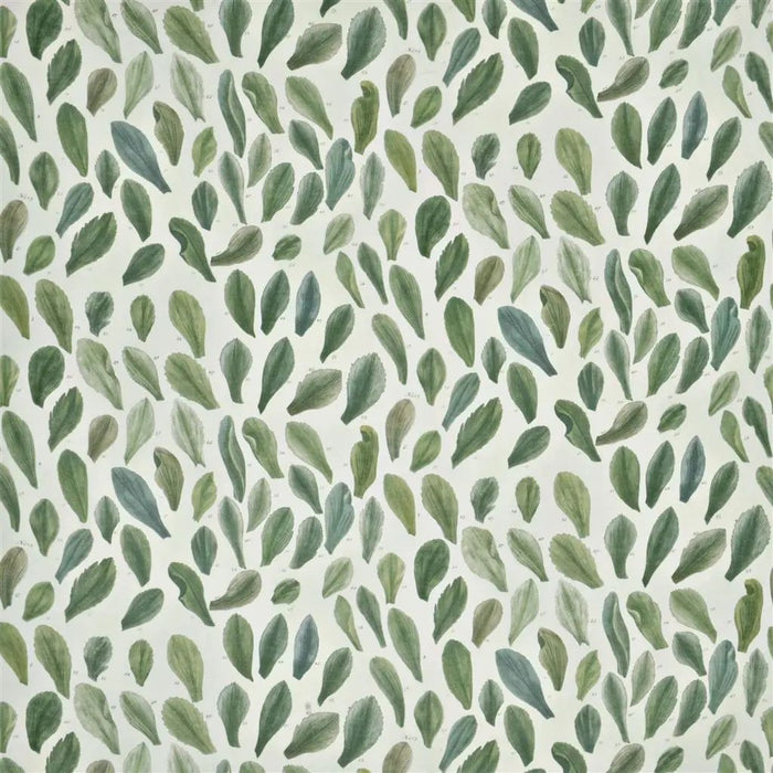 John Derian Leaf Specimens  1 Fabric FJD6018-01