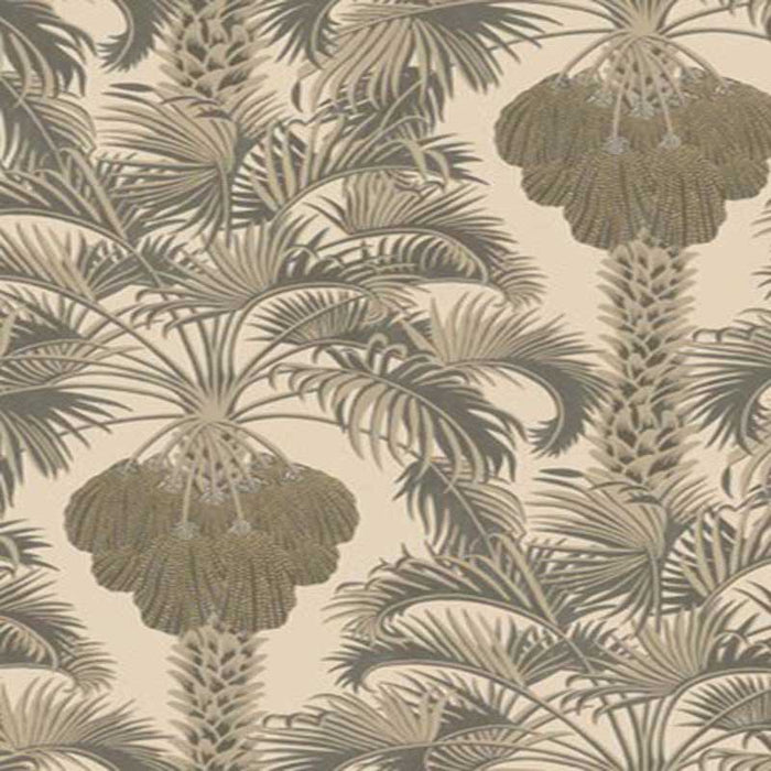 Cole & Son Hollywood Palm Silver & Charcoal Wallpaper 113/1003.CS.0