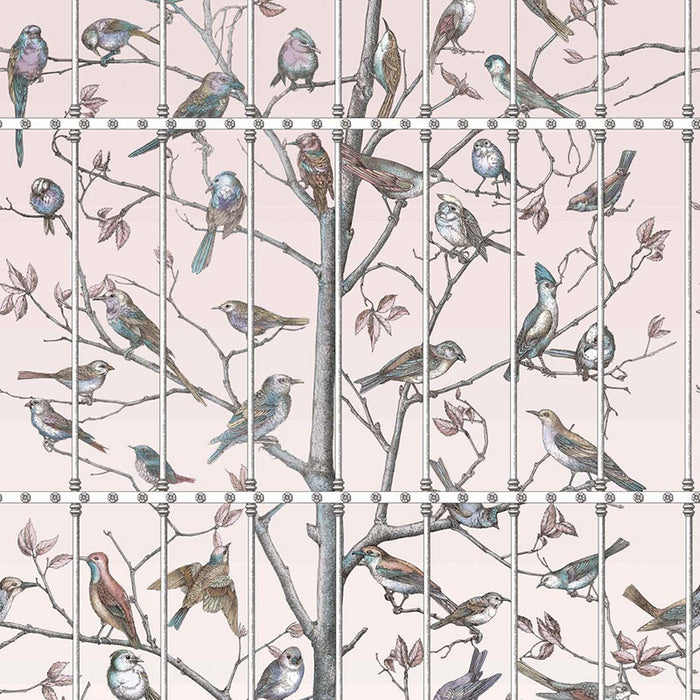 Cole & Son Uccelli Ballet Slipper Wallpaper 114/11022.CS.0