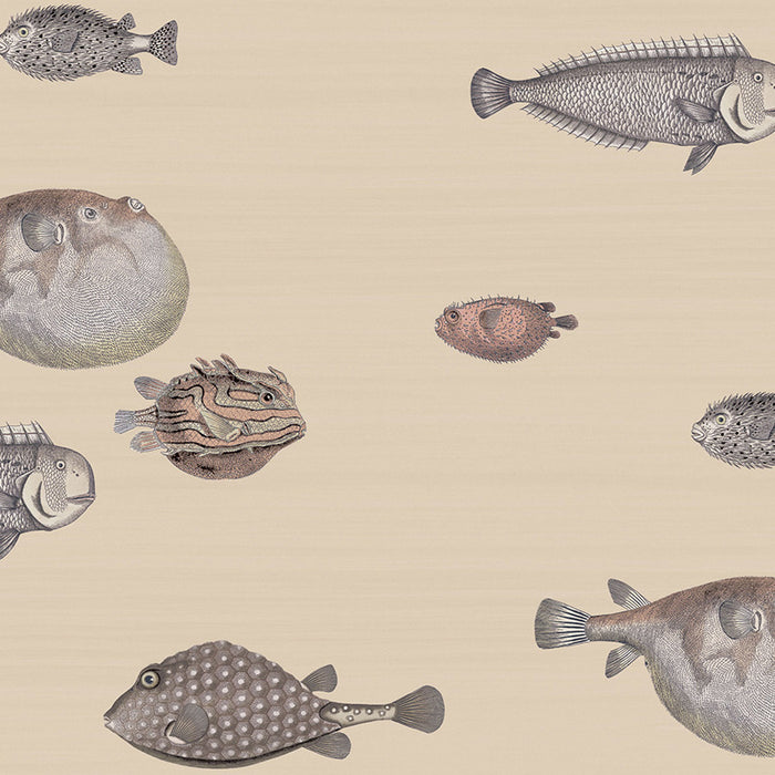 Cole & Son Acquario Taupe Wallpaper 114/16033.CS.0