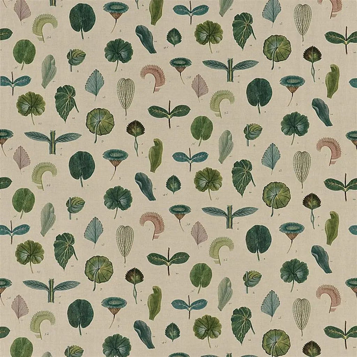 John Derian A Leaf Study  1 Fabric FJD6017-01