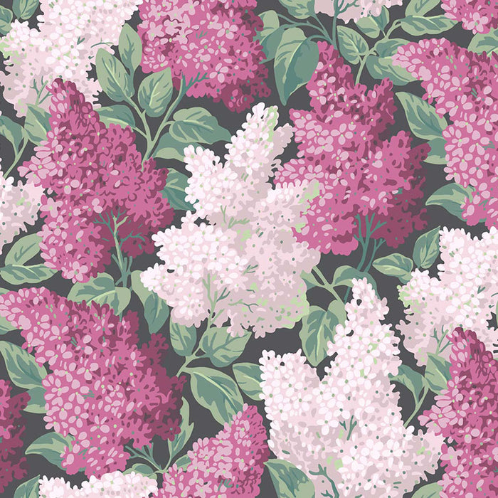 Cole & Son Lilac Magenta/Blush/Charco Wallpaper 115/1001.CS.0