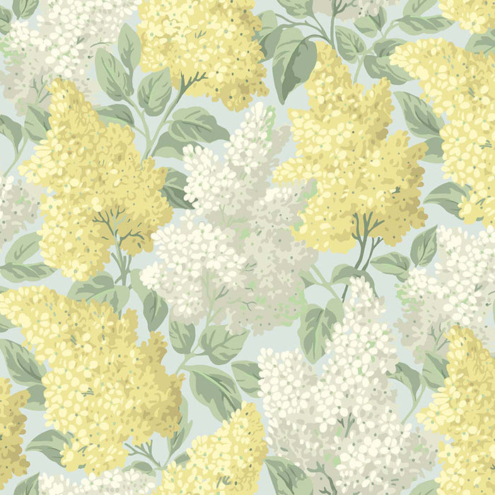 Cole & Son Lilac Lemon/Olive/Prm Blue Wallpaper 115/1003.CS.0