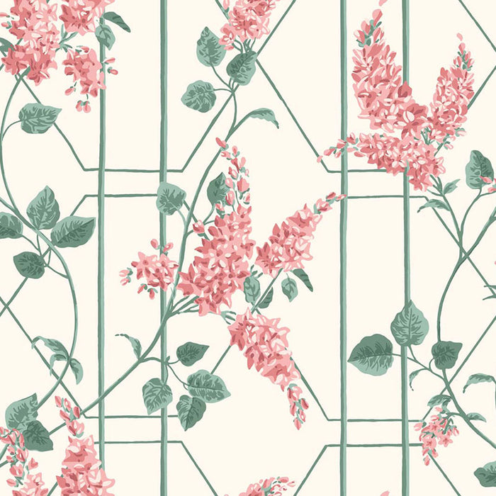 Cole & Son Wisteria Coral/Sage/Parch Wallpaper 115/5012.CS.0