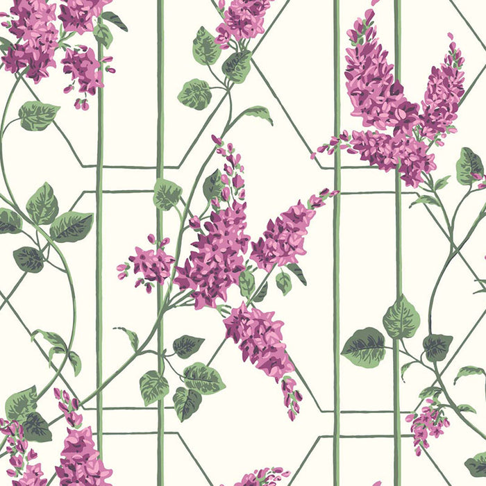 Cole & Son Wisteria Magenta/Green/Wh Wallpaper 115/5013.CS.0