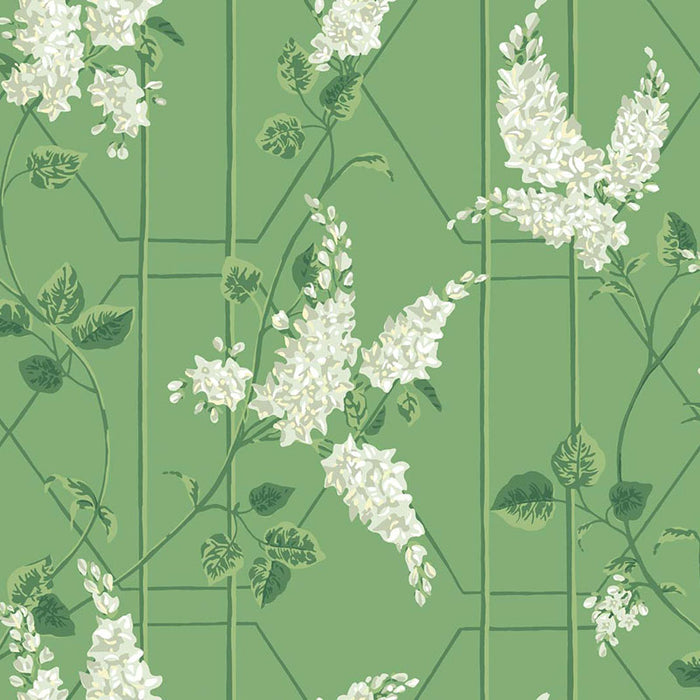 Cole & Son Wisteria Sage/Leaf Green Wallpaper 115/5016.CS.0