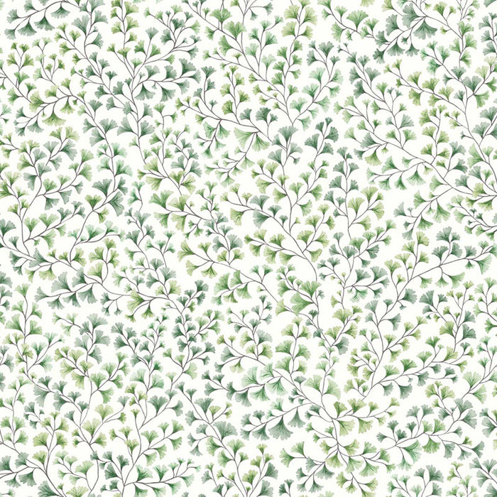 Cole & Son Maidenhair Olive Wallpaper 115/6018.CS.0