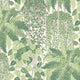 Cole & Son Fern Leaf Green And Olive Wallpaper 115/7021.CS.0