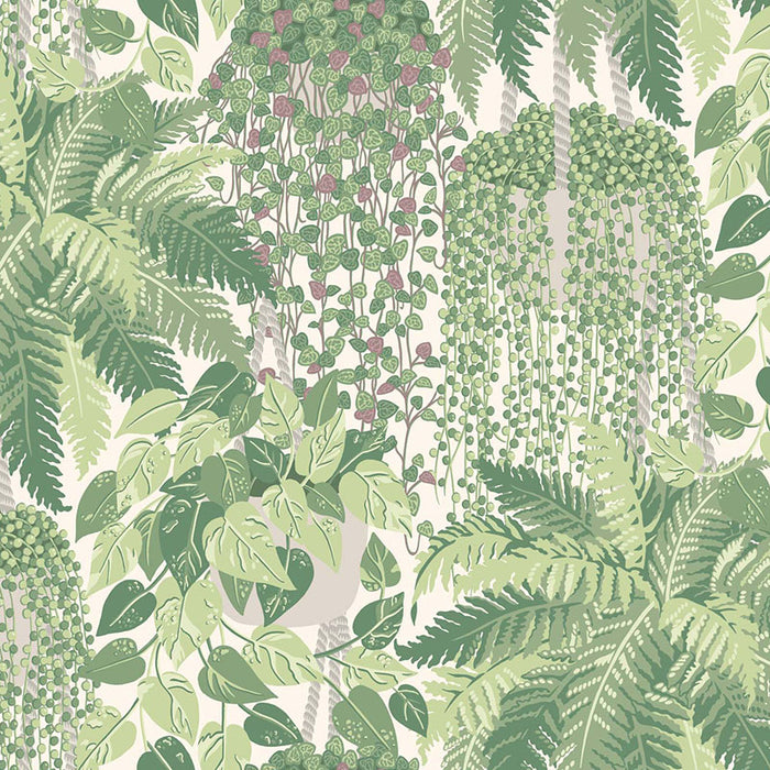 Cole & Son Fern Leaf Green And Olive Wallpaper 115/7021.CS.0