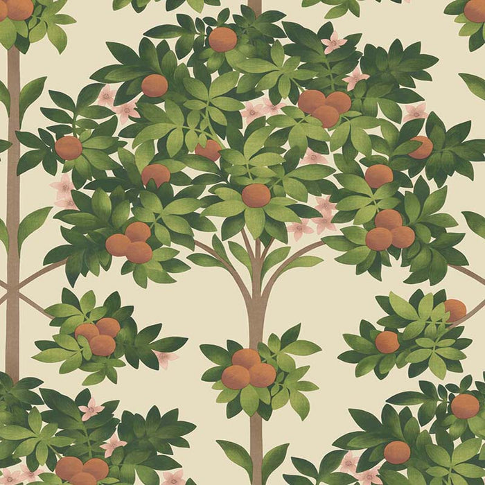 Cole & Son Orange Blossom Orange & Spring Green/Parch Wallpaper 117/1001.CS.0