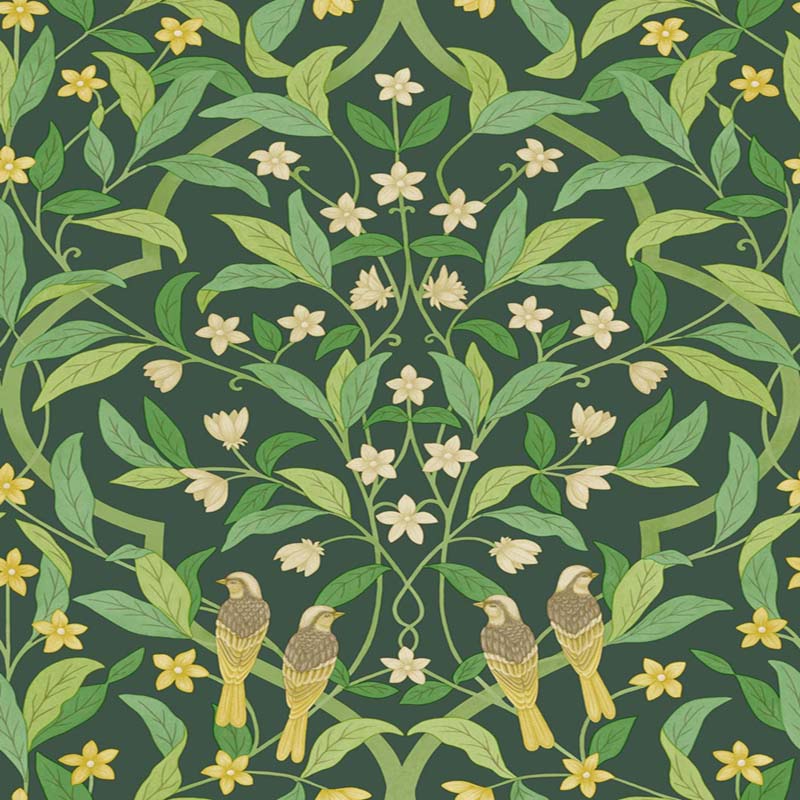 Cole & Son Jasmine & Serin Symphony Yellow/Grn/Forest Wallpaper 117/10029.CS.0