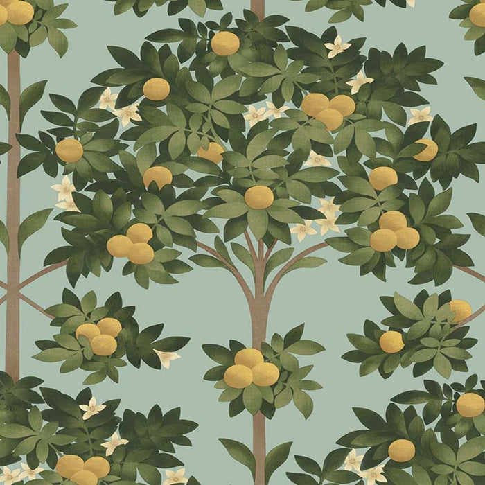 Cole & Son Orange Blossom Lemon/Dk Olive Grn/Duck Egg Wallpaper 117/1002.CS.0