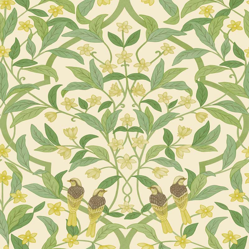 Cole & Son Jasmine & Serin Symphony Chartreuse/Grn/Wt Wallpaper 117/10031.CS.0