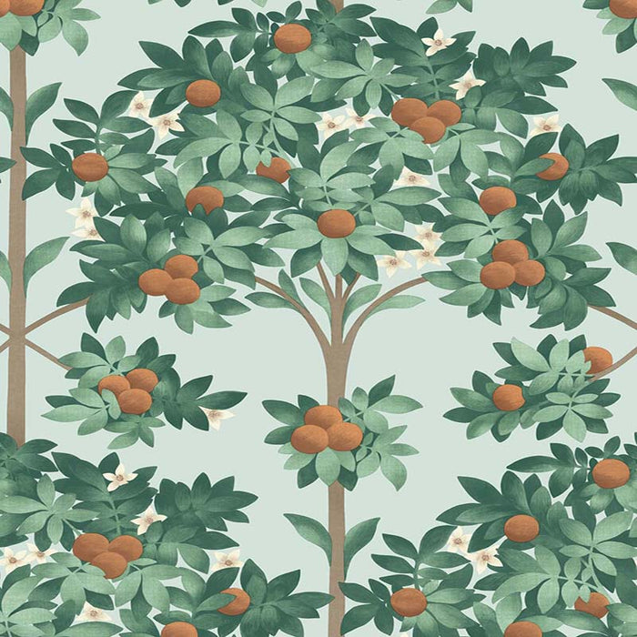 Cole & Son Orange Blossom Burnt Orange/Mint/Seafoam Wallpaper 117/1004.CS.0