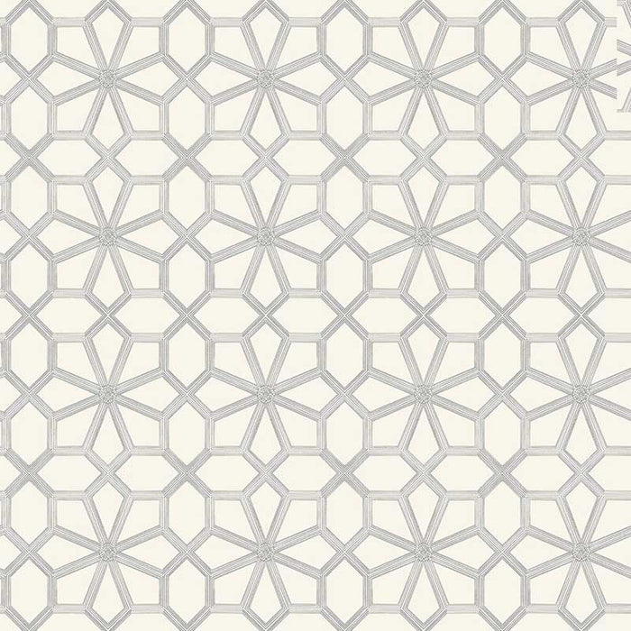 Cole & Son Wolsey Stars Soot On Snow Wallpaper 118/16036.CS.0