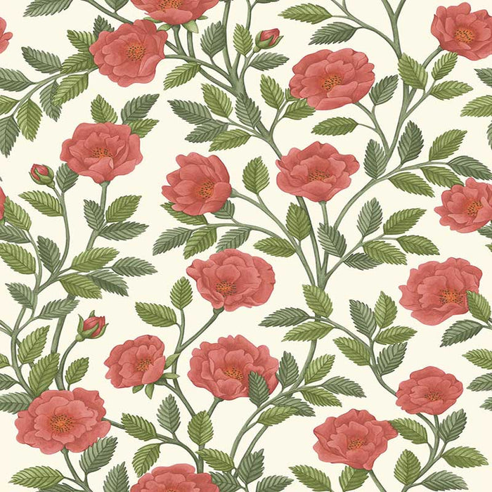 Cole & Son Hampton Roses R&Sgrn/Pmnt Wallpaper 118/7013.CS.0