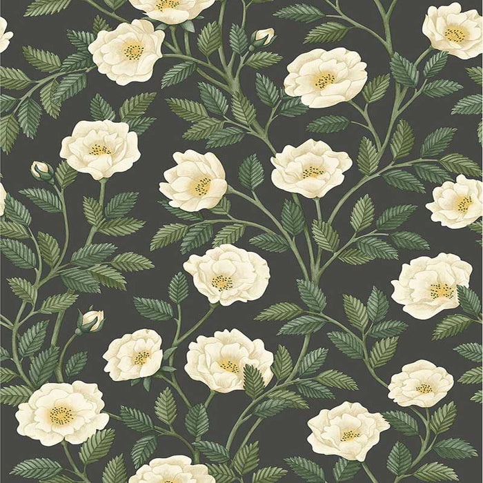 Cole & Son Hampton Roses Crm&Fgrn/Ch Wallpaper 118/7016.CS.0