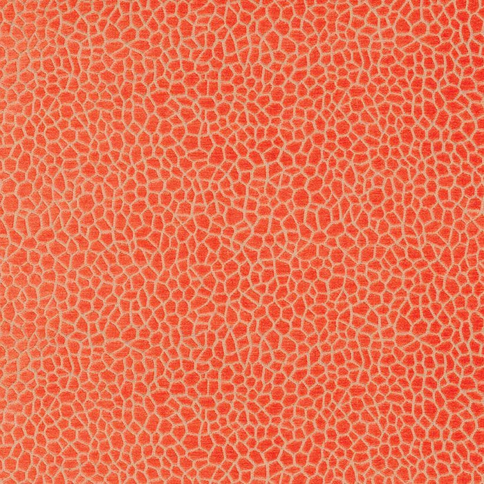 Osborne & Little Kairi 06 Fabric F6632-06