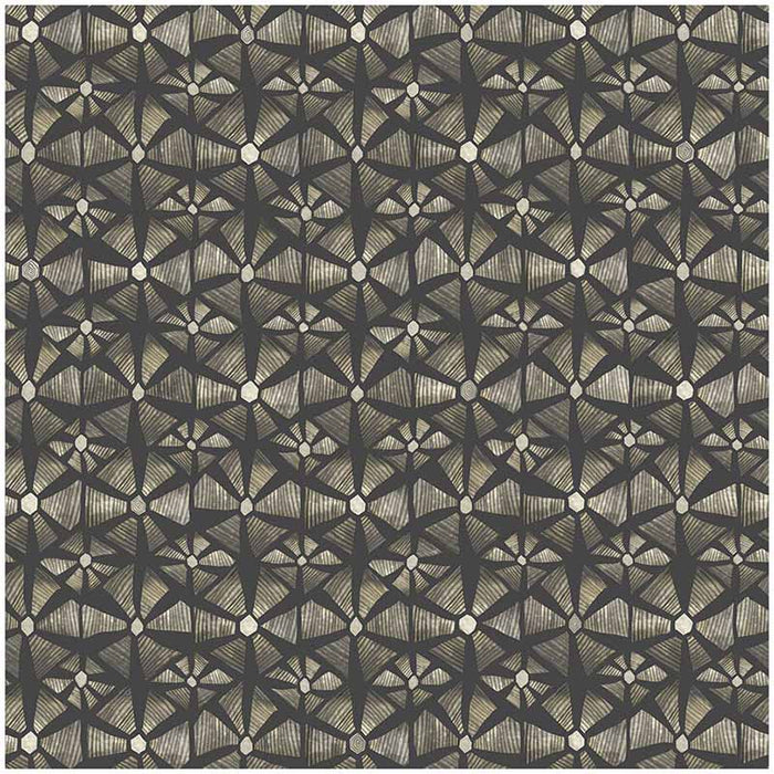 Cole & Son Kalahari Stone & Charcoal Wallpaper 119/6029.CS.0