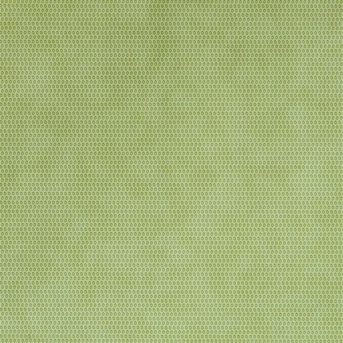 Designers Guild Iribe Pistachio Wallpaper P531/06