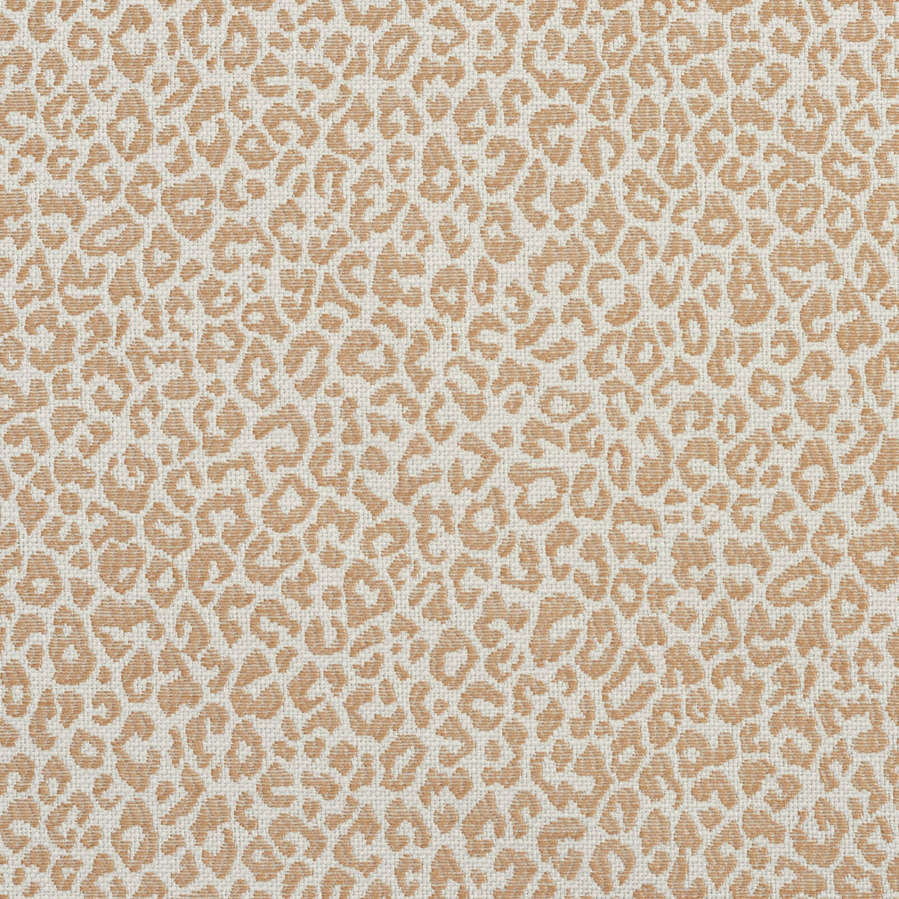 Charlotte Sand Fabric Sample 1592