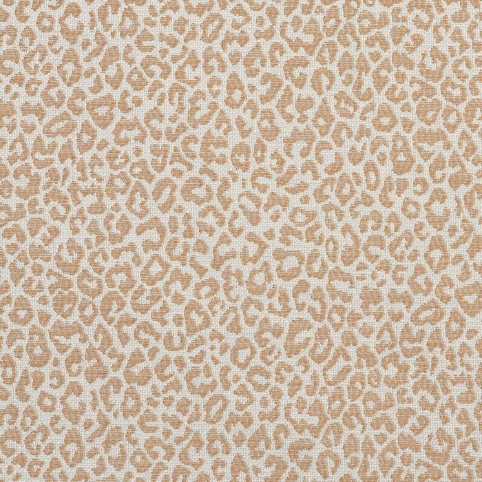 Charlotte Sand Fabric Sample 1592