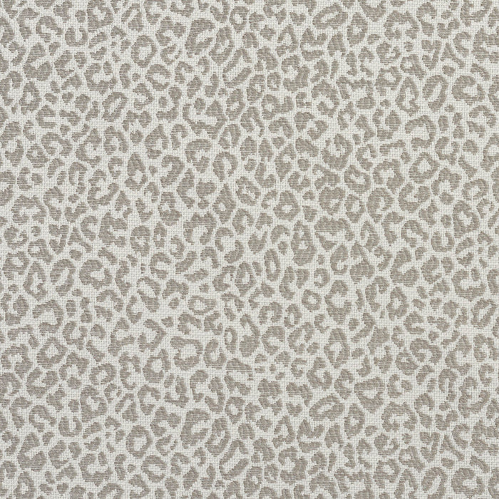 Charlotte Stone Fabric Sample 1594